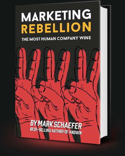 marketing rebellion
